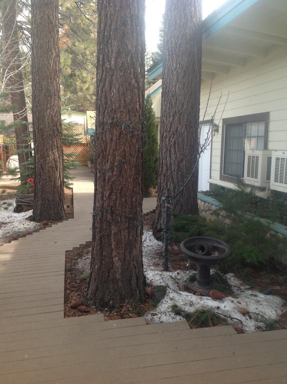 Lake Tahoe Airport Tahoe Chalet Inn, The Theme Inn מראה חיצוני תמונה