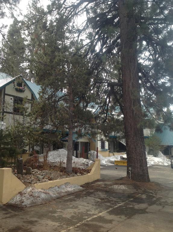 Lake Tahoe Airport Tahoe Chalet Inn, The Theme Inn מראה חיצוני תמונה